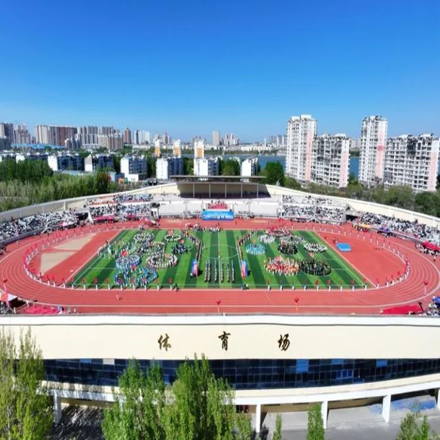 陈雨菲回归赛场展现卓越实力